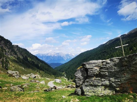 Blick von Steinkasern
