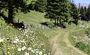 Etappe 2 von Wattens nach Tulfes