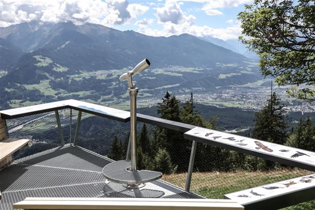 Panoramaweg Hinterhornalm - Walderalm