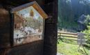 Schwarzbrunn im Voldertal