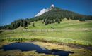 St. Michael - Walderalm