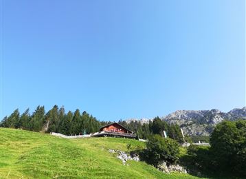 Tour - Thaurer Alm MTB Route 5063