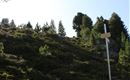 Von der Tulfeinalm auf den Schartenkogel