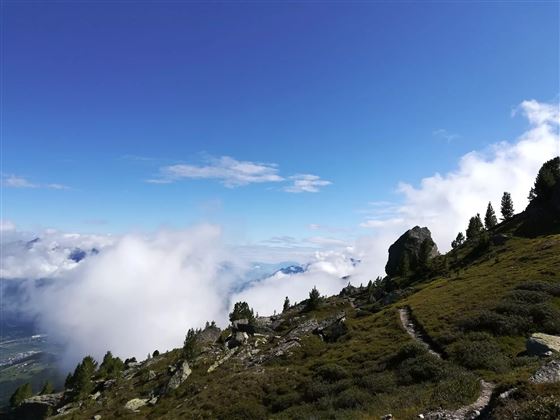 Von der Tulfeinalm auf den Schartenkogel