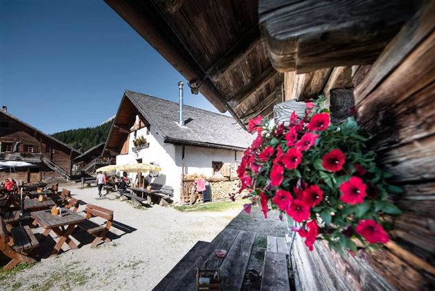 Walderalm