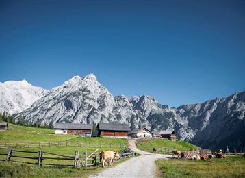 Von Gandenwald/Kranzach zur Walderalm