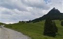 Ziel erreicht: Walderalm