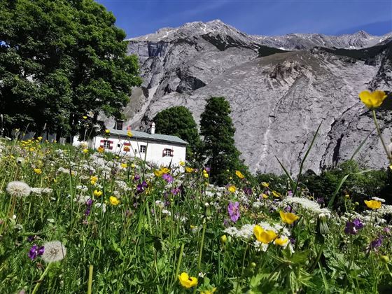 Zum Alpengasthaus St. Magdalena im Halltal